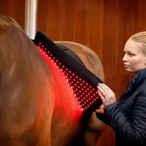 Tapis de selle thérapeutique Horseware image-3