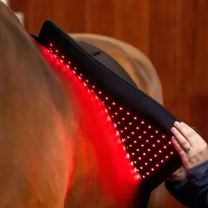 Tapis de selle thérapeutique Horseware image-4