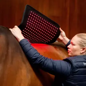 Tapis de selle thérapeutique Horseware image-5