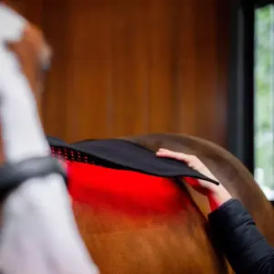 Tapis de selle thérapeutique Horseware image-6