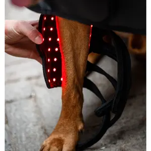 Guêtres para poney LED Horseware image-1