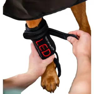 Bandages de thérapie par lumière rouge LED pour chien Horseware