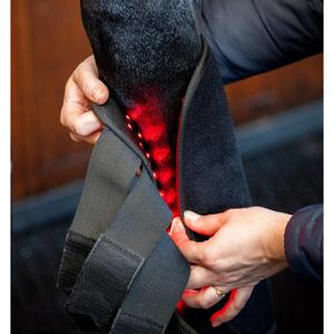 Closed horse wraps light therapy Horseware LED image-4