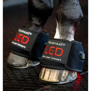 Clochy pro koně mini světelná terapie Horseware