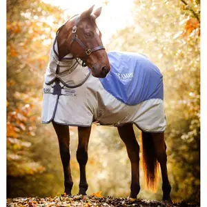Manta de exterior para caballos Horseware Rambo Autumn 0g image-1