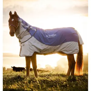 Manta de exterior para caballos Horseware Rambo Autumn 0g image-2