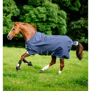 Waterproof outdoor  Blanket Horseware Rambo Optimo Turnout 0g image-0