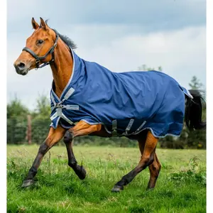 Outdoor-Decke für Pferde Horseware Rhino Wug Turnout 100g image-0