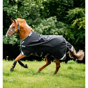 Outdoor-Decke für Pferde Horseware Rambo 1680D 50g image-1