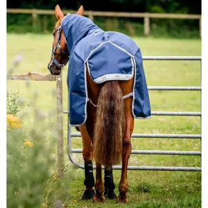 Manta de exterior para caballos Horseware Amigo 1200D 50g image-1