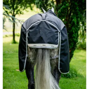 Manta de exterior para caballos Horseware Amigo 1200D 50g image-1