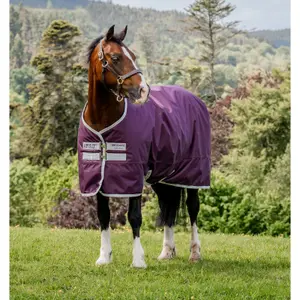 Outdoor horse blanket Horseware Amigo Hero Ripstop 200g image-0