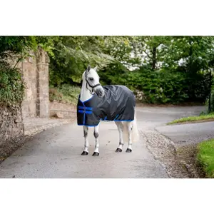 Couverture d'extérieur pour cheval Horseware Amigo Ripstop 900D 200g image-0