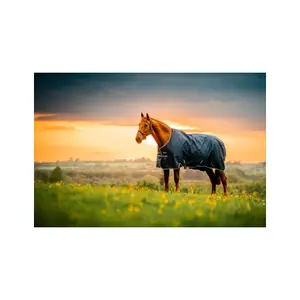 Couverture d'extérieur pour cheval Horseware Amigo Ripstop 900D 200g image-1
