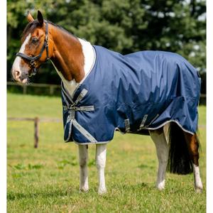 product/h/o/horseware_aarg02-bji0-69_navy-titanium-grey-silver_1.jpg