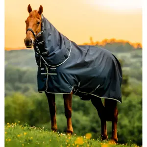 Outdoor  Blanket Horseware Amigo Ripstop 900D Plus 200g image-1