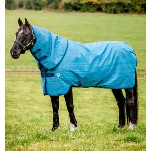 Outdoor horse blanket Horseware Amigo Hero 900 Revive Plus 50g image-0