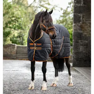 Stable Blanket  Horseware Rambo 200g image-0