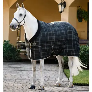 Coperta da box per cavalli Horseware Rhino 100g image-0