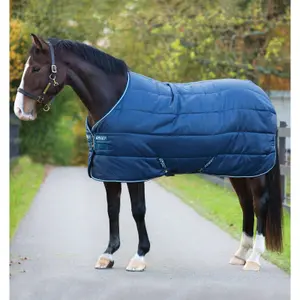 Stable Blanket  Horseware Amigo Insulator Lite 100 g image-0