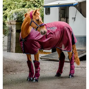Drying blanket  Horseware Rambo image-0
