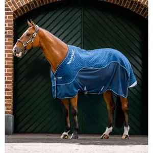 Waterproof fleece horse walker cover Horseware Signature 50g