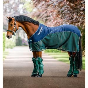 product/h/o/horseware_achhmj-bh00-66_navy-hunter-green_1.jpg