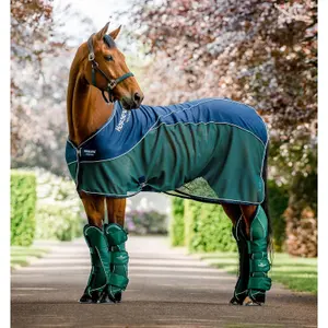 Κάλυμμα στεγνώματος για άλογο Horseware Signature 0g image-1