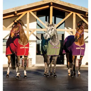 Fleece Blanket Horseware Amigo Cooler image-1