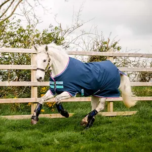 Outdoor horse blanket Horseware Amigo Hero 900 Py T/O Lite image-1