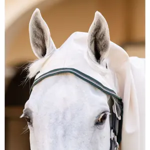 Αντι-UV κουβέρτα για πόνι Horseware Rambo image-1
