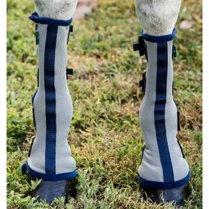 Closed horse boots Horseware (x2) image-1
