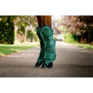 product/h/o/horseware_ddhtm0-h000-co_hunter-green_3.jpg