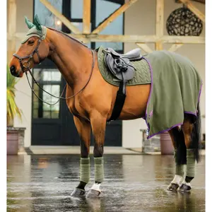 Orejeras para caballo anti moscas Horseware Amigo Earnet image-2