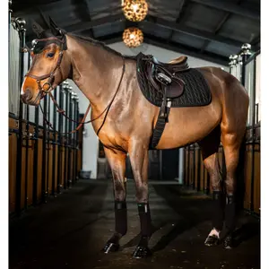 Orejeras para caballo anti moscas Horseware Amigo Earnet image-2