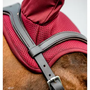Orejeras para caballo anti moscas Horseware Amigo Earnet image-2