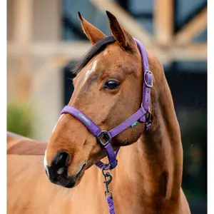 Halter and lead rope set for horse Horseware Amigo