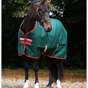Coperta per cavalli all'aperto Horseware Rambo Original Turnout 400g image-0