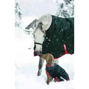 Coperta per cavalli all'aperto Horseware Rambo Original Turnout 400g image-2
