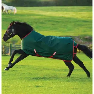 Coperta per cavalli all'aperto Horseware Rambo Original Turnout 400g image-3