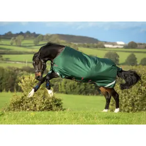 Εξωτερικό κάλυμμα για άλογο Horseware Rambo Original T/O L/A 100g image-0