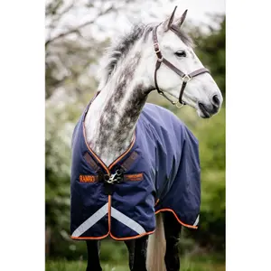 Outdoor horse blanket Horseware Rambo Original T/O L/A 100g image-0
