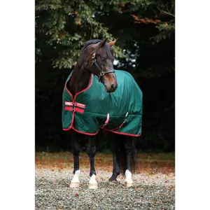 Manta para caballos de exterior Horseware Rambo Original Turnout Lite 0g image-0