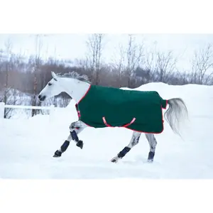 Outdoor horse blanket Horseware Rambo Original Turnout Hvy 400g