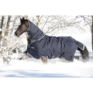 Outdoor-Decke für Pferde Horseware Rambo Duo 100g image-0