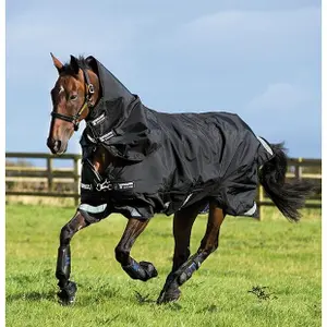 Tappeto da esterno con copricollo per cavalli Horseware Rambo Supreme Turnout 200g image-1