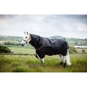 Coperta per cavalli all'aperto Horseware Rambo Supreme 1680D Turnout Lite Med 250g image-0