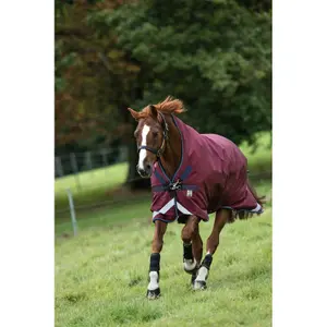 Outdoor horse blanket Horseware Rambo Wug Turnout 200g image-0