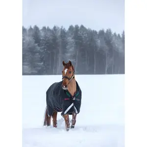 Εξωτερικό κάλυμμα για άλογο Horseware Rambo Wug Turnout Hvy 400g image-0