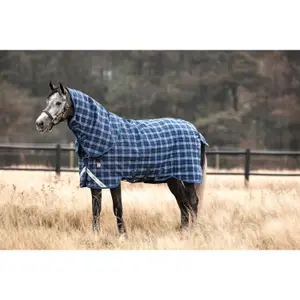 Outdoor horse blanket Horseware Rhino Plus Turnout Heavy VL 450g image-0